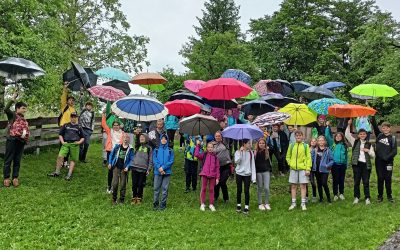 Pisanih dežnikov naokrog do Kosmača in Bevka