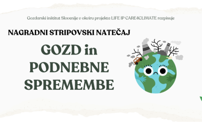 Devetošolec Črt Gaber nagrajenec stripovskega natečaja